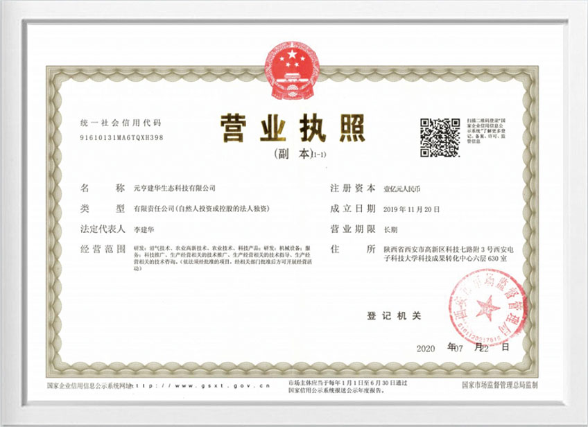 Business License
